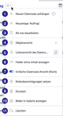 Auswahlmenü im Datensatz